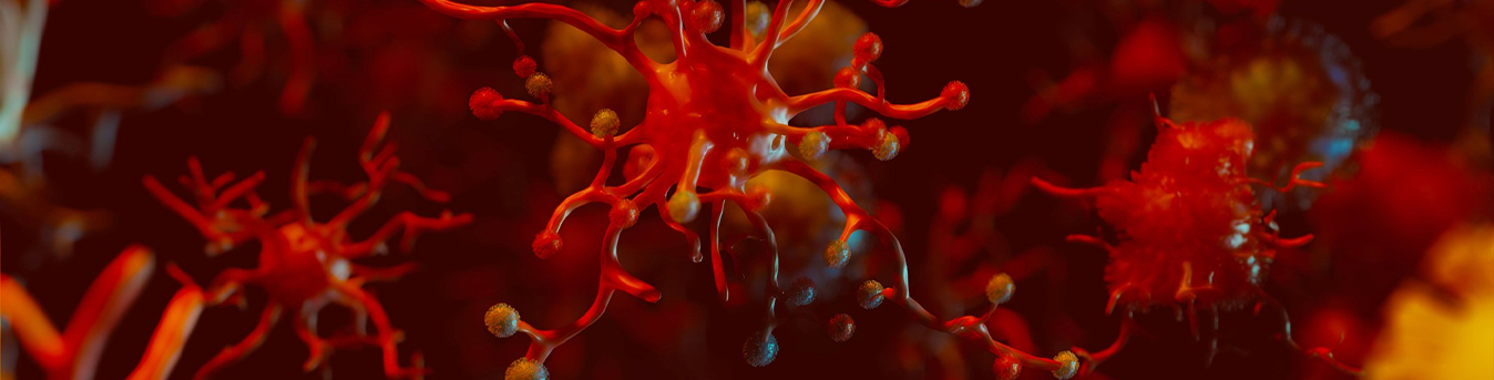 Getting familiar with the most common types of blood cancer